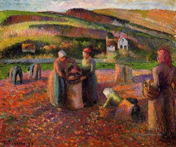 Camille Pissarro Painting - potato harvest 1893 Camille Pissarro